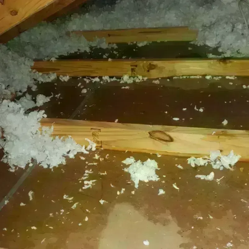 Attic Water Damage in Danville, AR