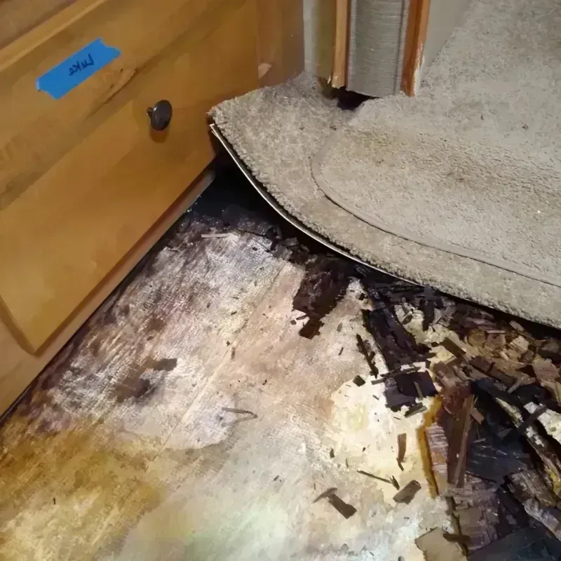 Wood Floor Water Damage in Danville, AR